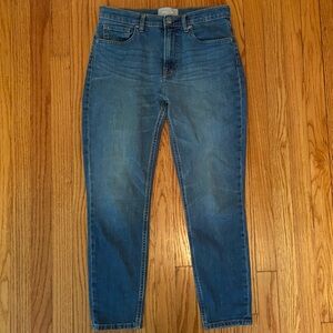 Everlane Skinny Jeans